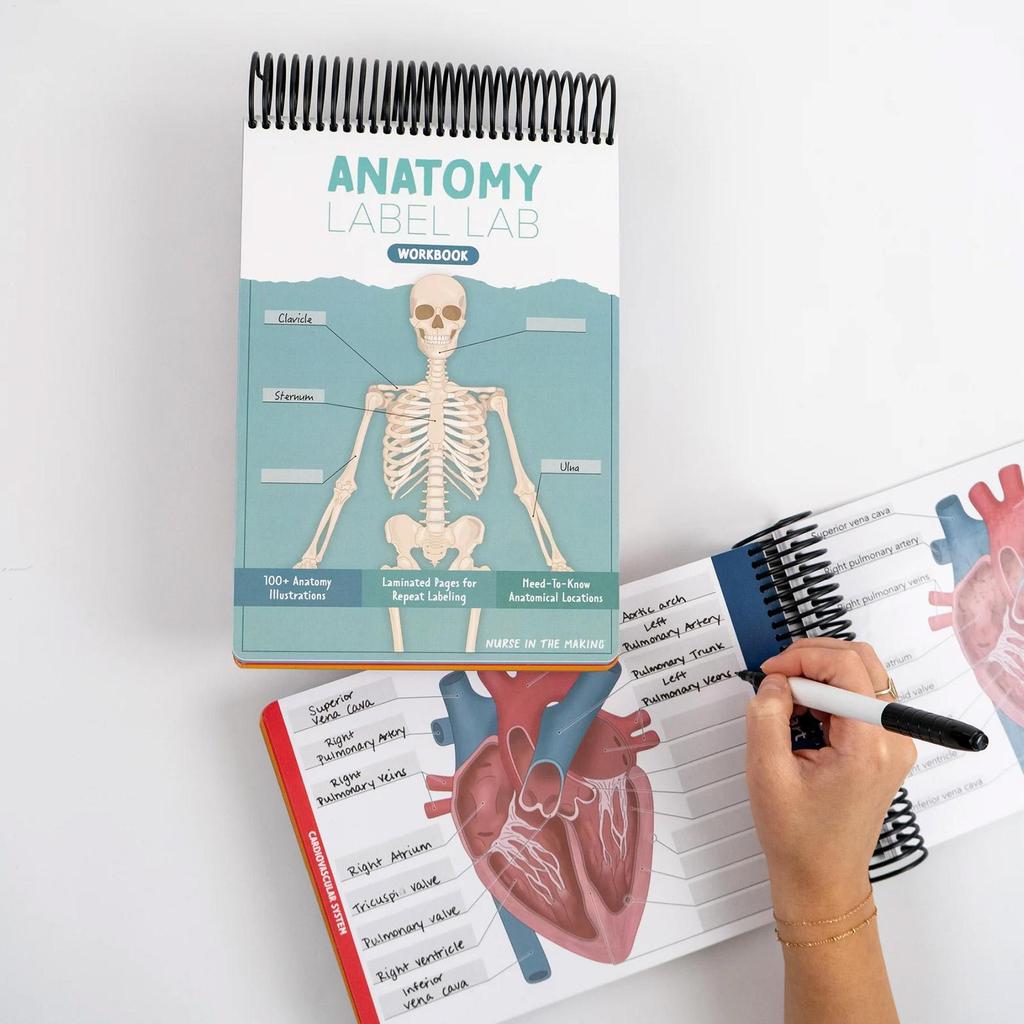 Anatomy Label Lab Workbook Anatomy Labels Illustrations Notebook ...