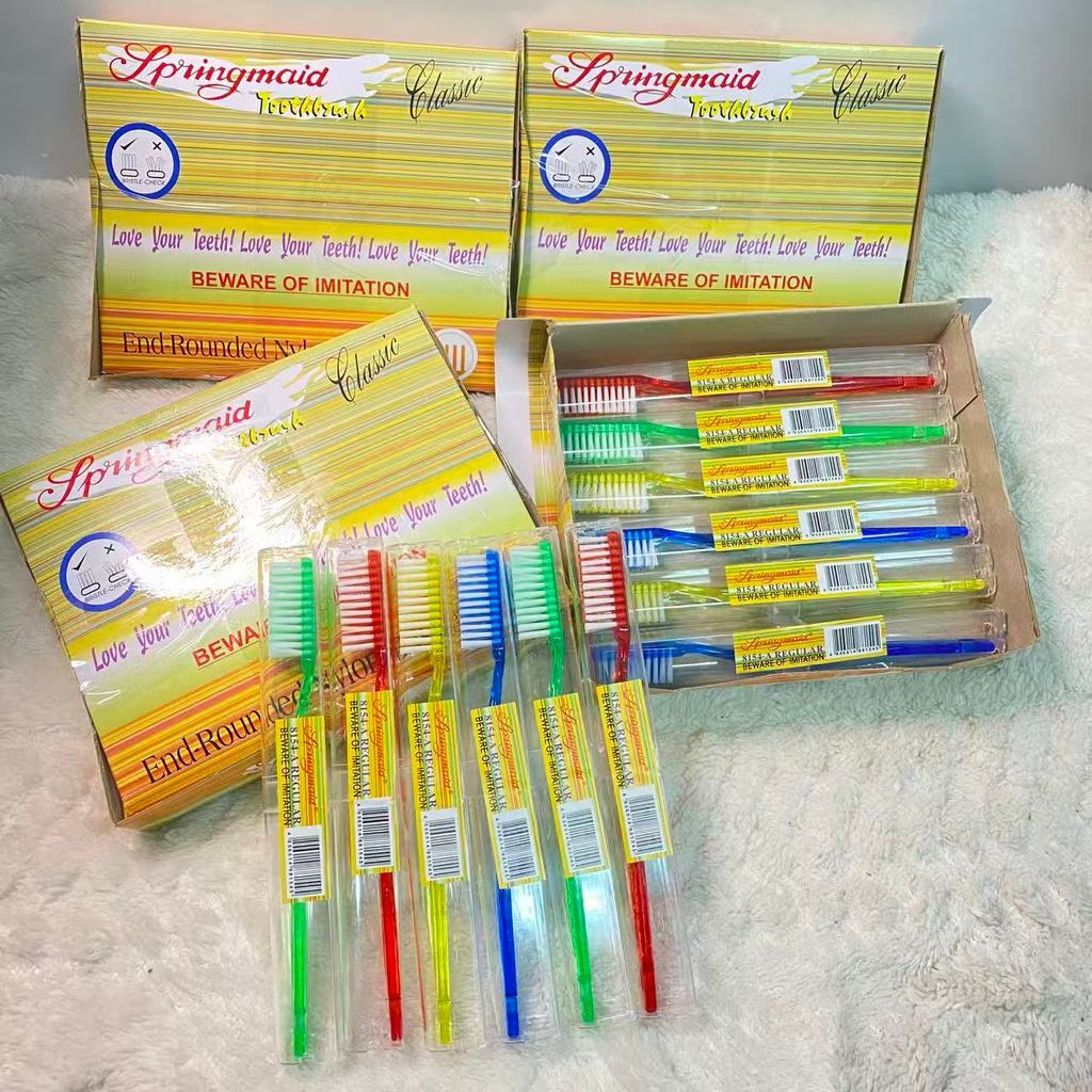 Springmaid 8154 Bristle Toothbrush 12 pcs Value Pack for Adults Family ...