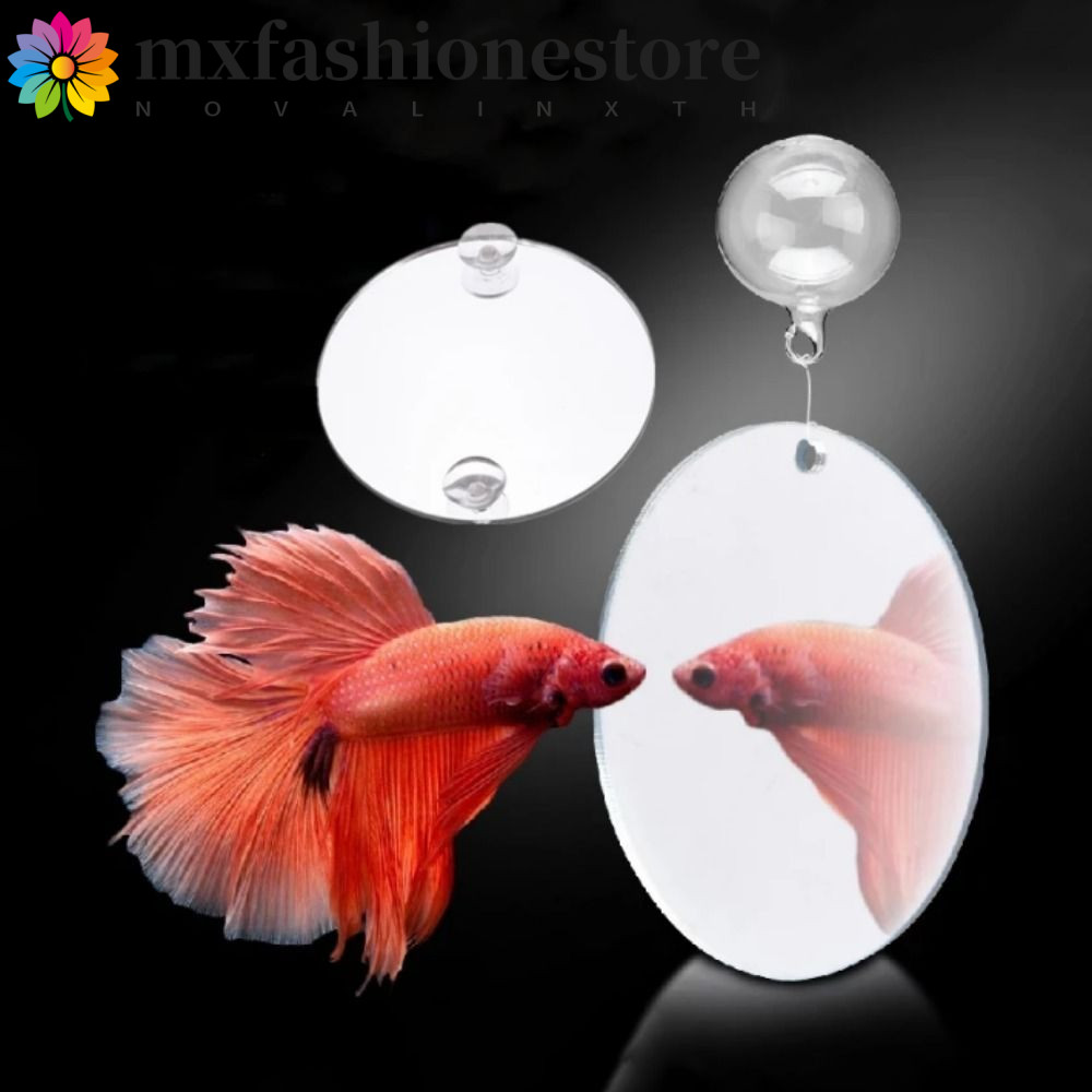 MXFASHIONE Fish Training Mirror, Round Acrylic Aquarium Betta Mirror ...