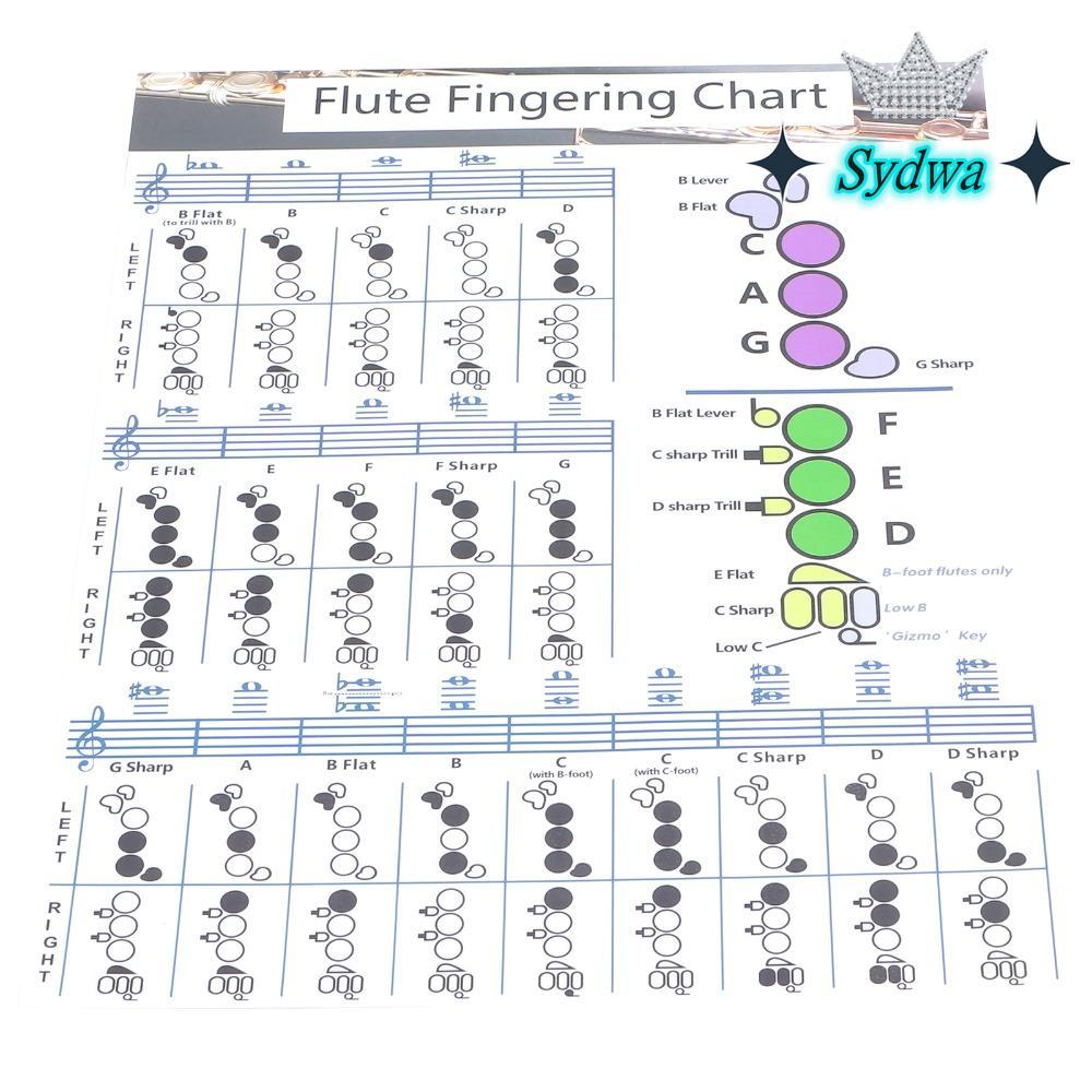 SYDWA Flute Fingering Chart, Includes Notes Scales 28x21cm Small Flute ...