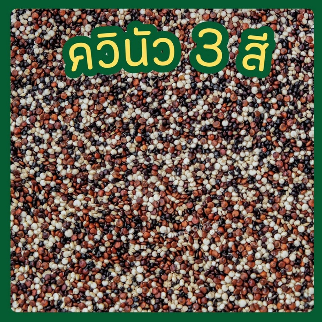 M Quinoa 3 Colors 1KG Organic Krinua Krin New Kinua Mixed Kinoua 3 ...