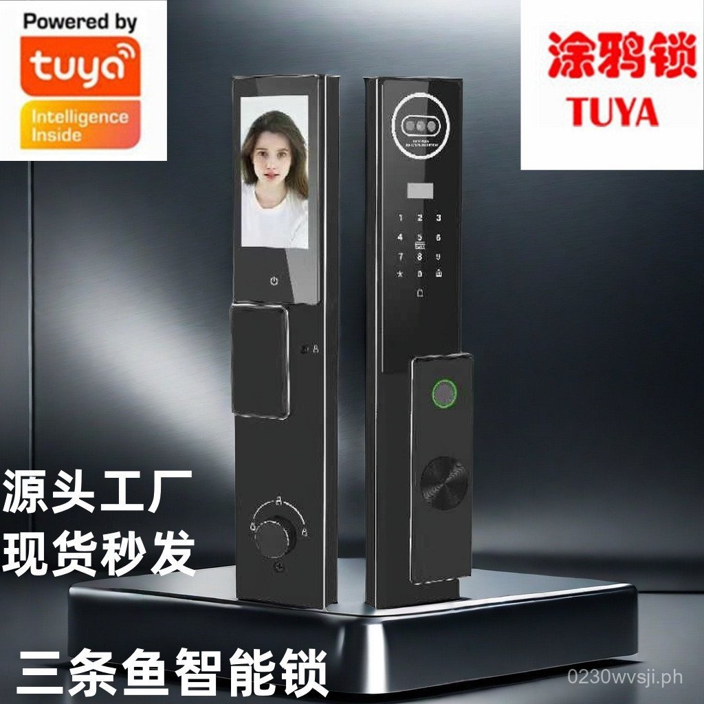 Face Recognition tuya Graffiti Door Lock Cat Eye Visual Intercom Entry ...