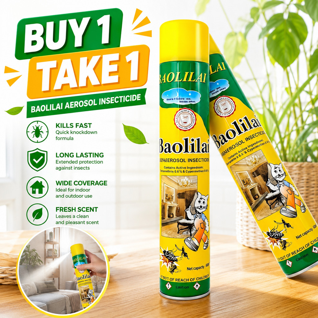 2PCS BAOLILAI AEROSOL INSECTICIDE BAOLILA INSECT KILLER Blast Duo ...