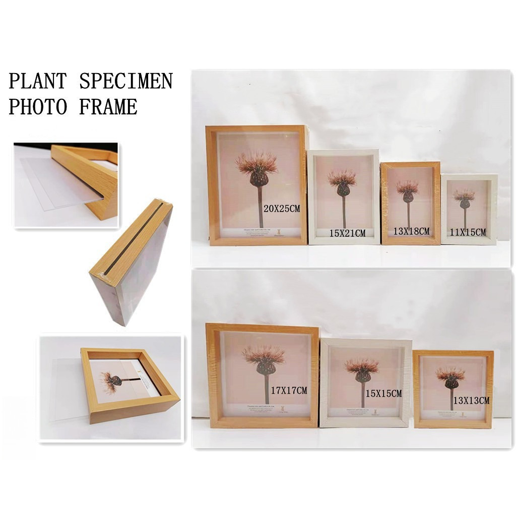 WOODEN PLANT SPECIMEN FRAME PHOTO FRAME MINI MULTIFUNCTIONAL PHOTO ...