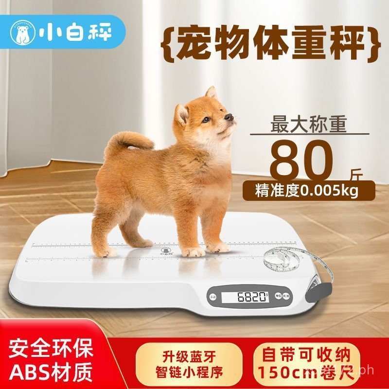 Precision Puppy Cat Scale Link Weight Scale Gram Scale Hospital Home ...
