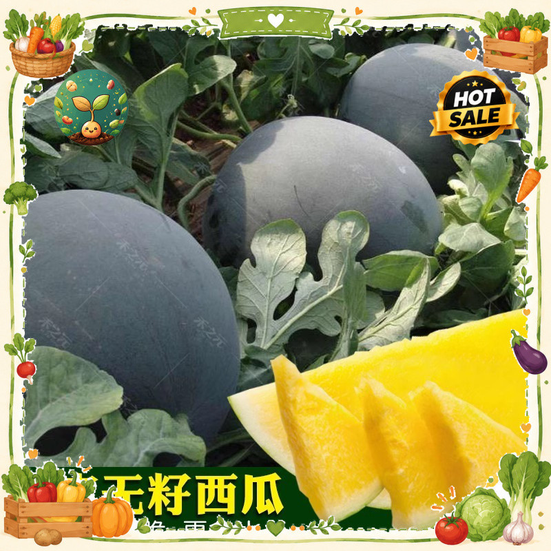 Shop pakwan for Sale on Shopee Philippines