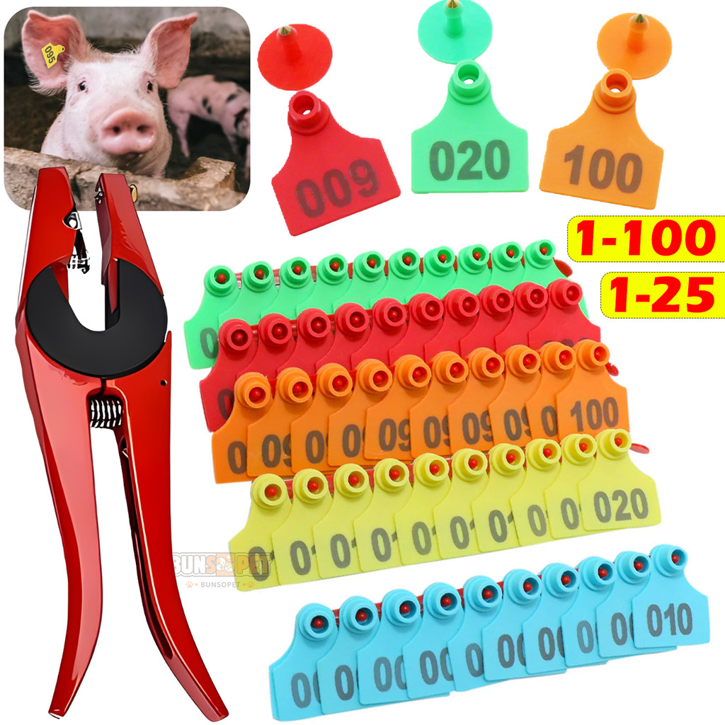 Shop ear tags for Sale on Shopee Philippines
