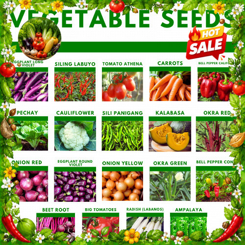 Shop pechay seeds for Sale on Shopee Philippines