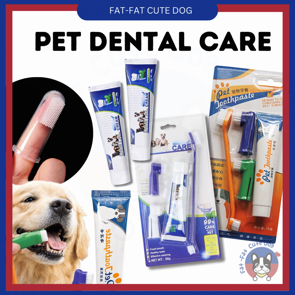 Shop dog toothbrush for Sale on Shopee Philippines