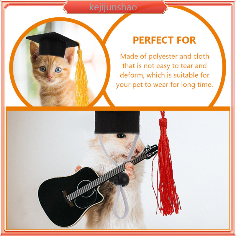 Mini Graduation Caps for Crafts Miniature Topper Bear Doctoral Soft ...