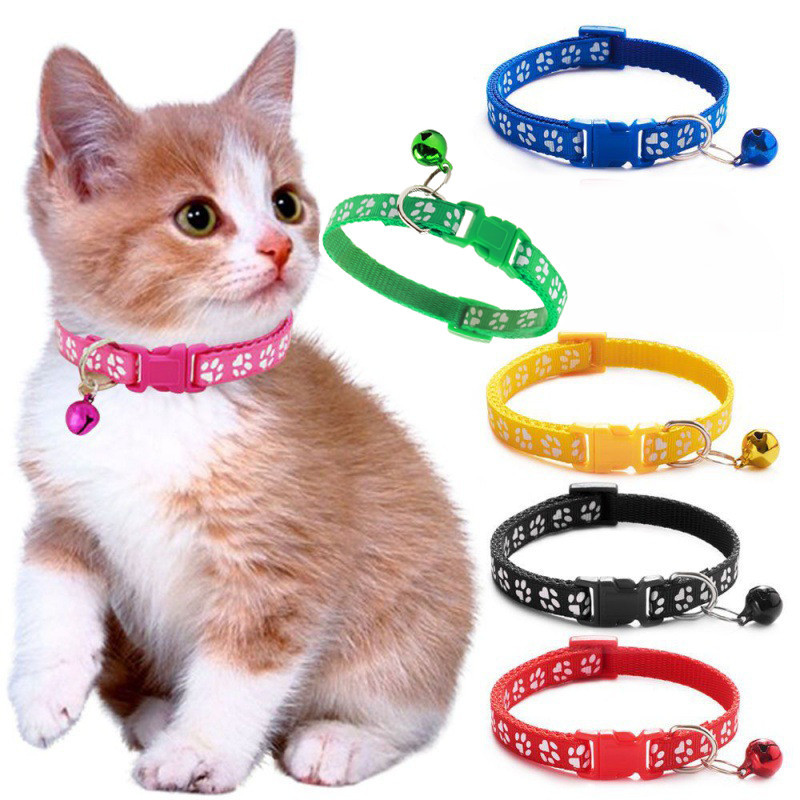 Shop pet new land collar for Sale on Shopee Philippines