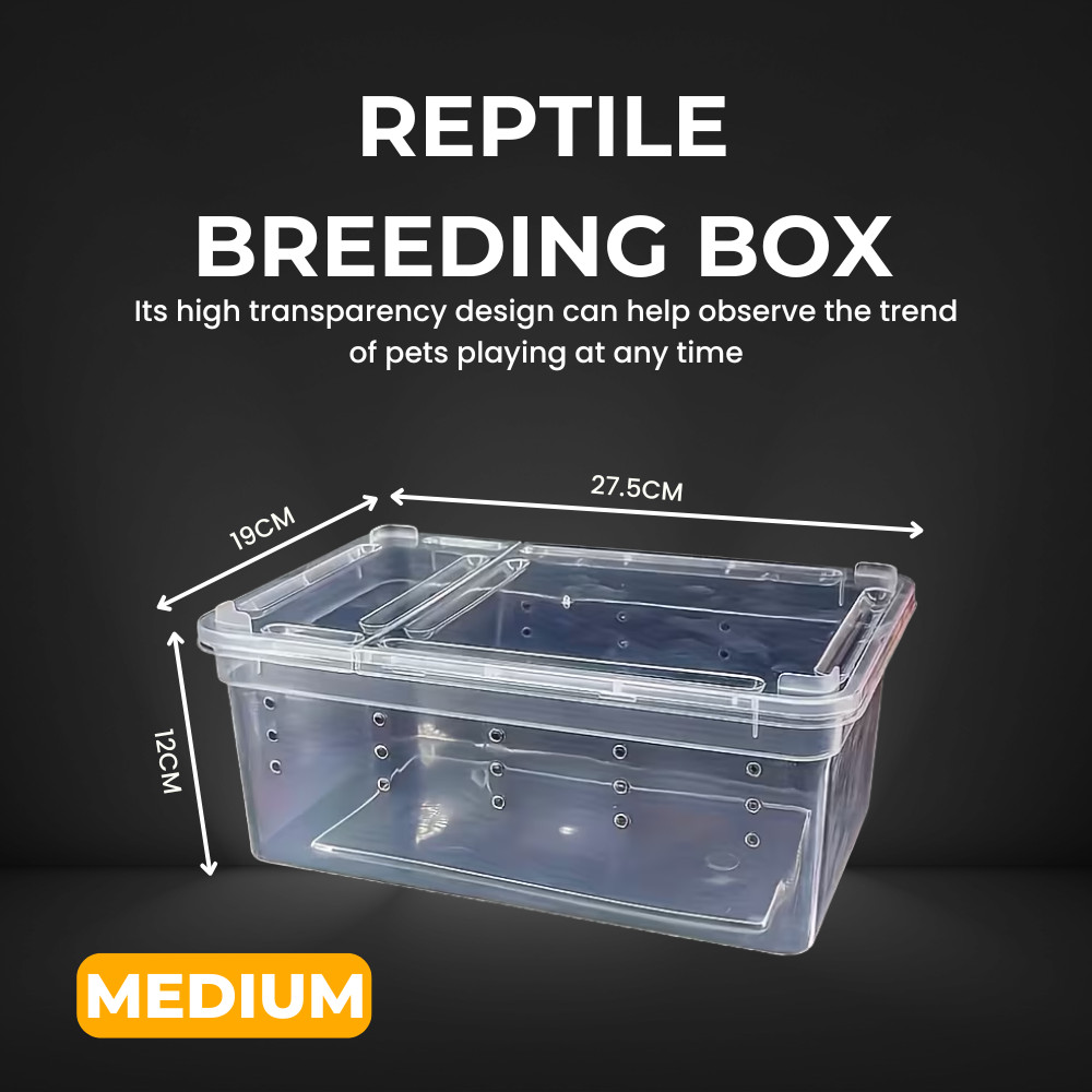 insect breeding box - Best Prices and Online Promos - Oct 2026 | Shopee ...
