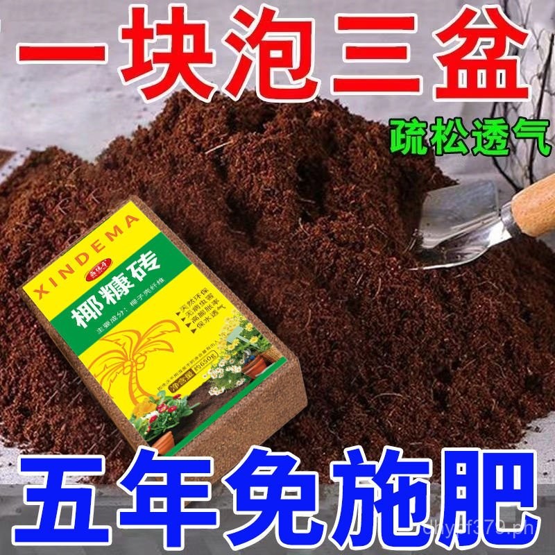 Turtle Planting Soil Large Blocks Brick Soil Universal Planting Soil ...