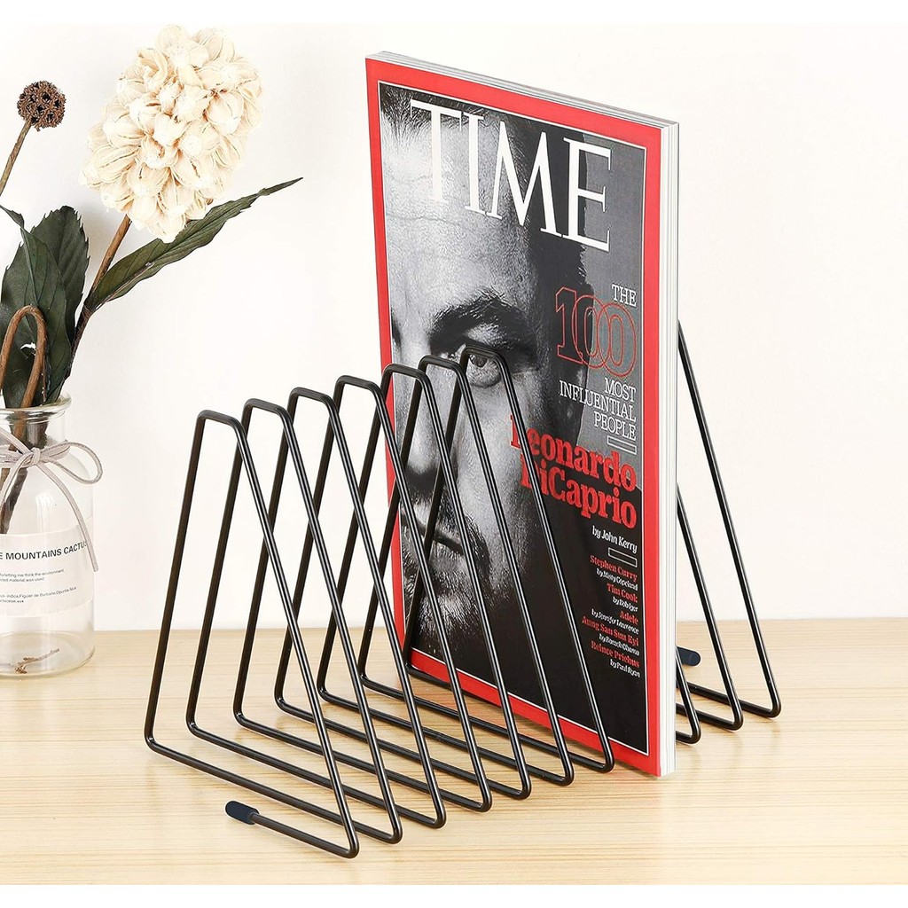 CAXXA 10 Slots Triangle Bookshelf, File Sorter, Metal Wire Magazine ...