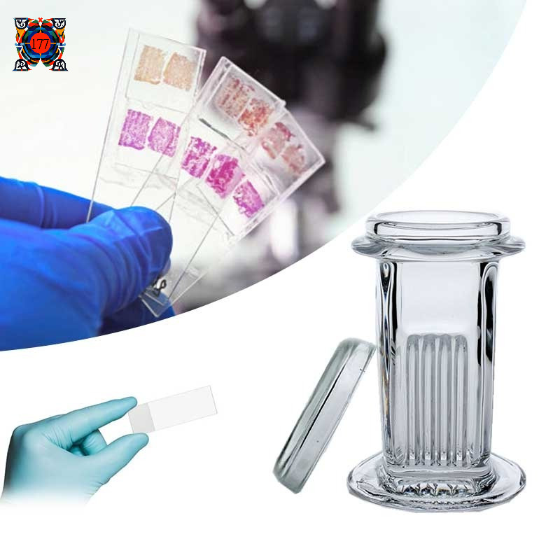 Coplin Staining Glass Slides Jar 5-Slide Capacity | Shopee Philippines