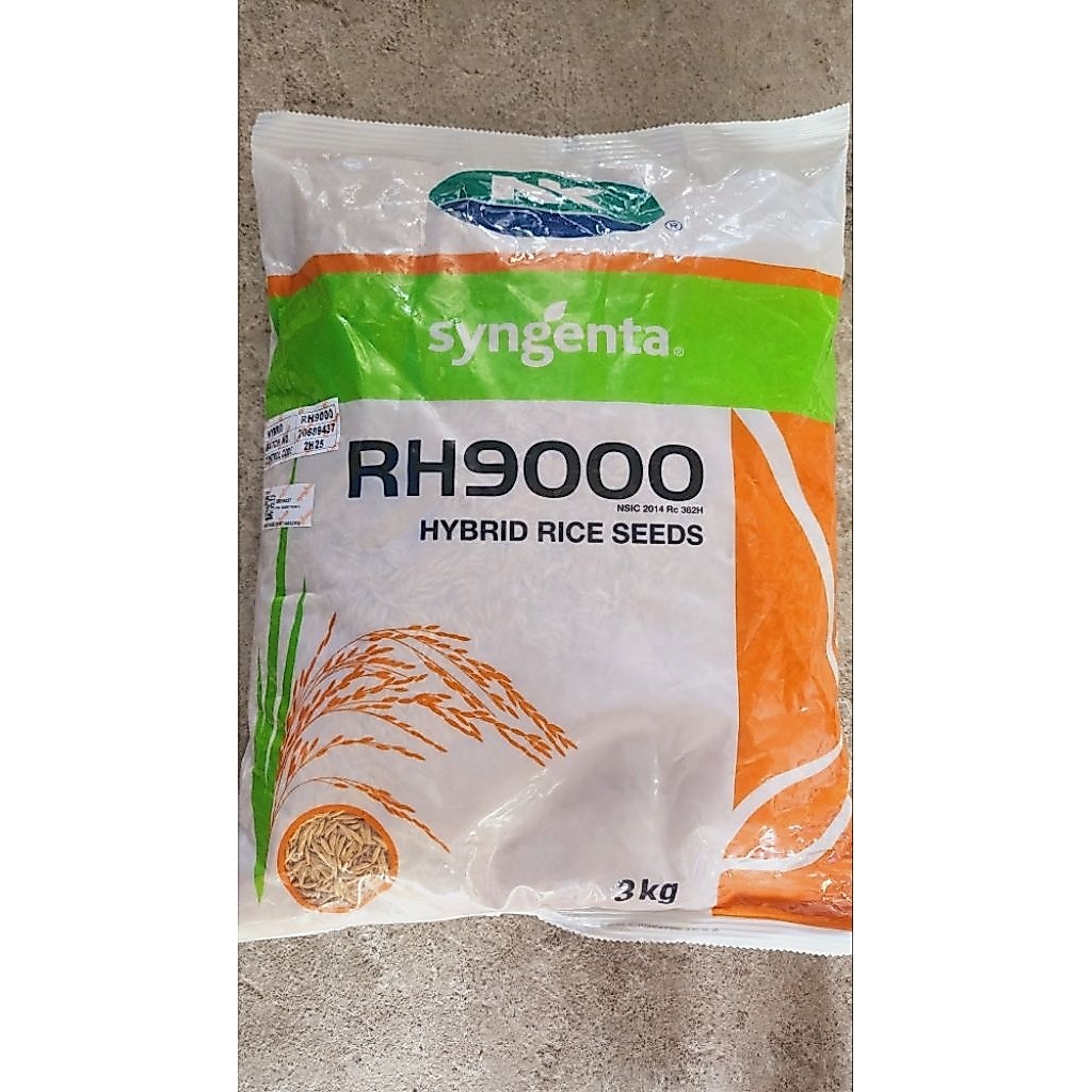 SYNGENTA RH9000 Hybrid Rice seeds | Shopee Philippines