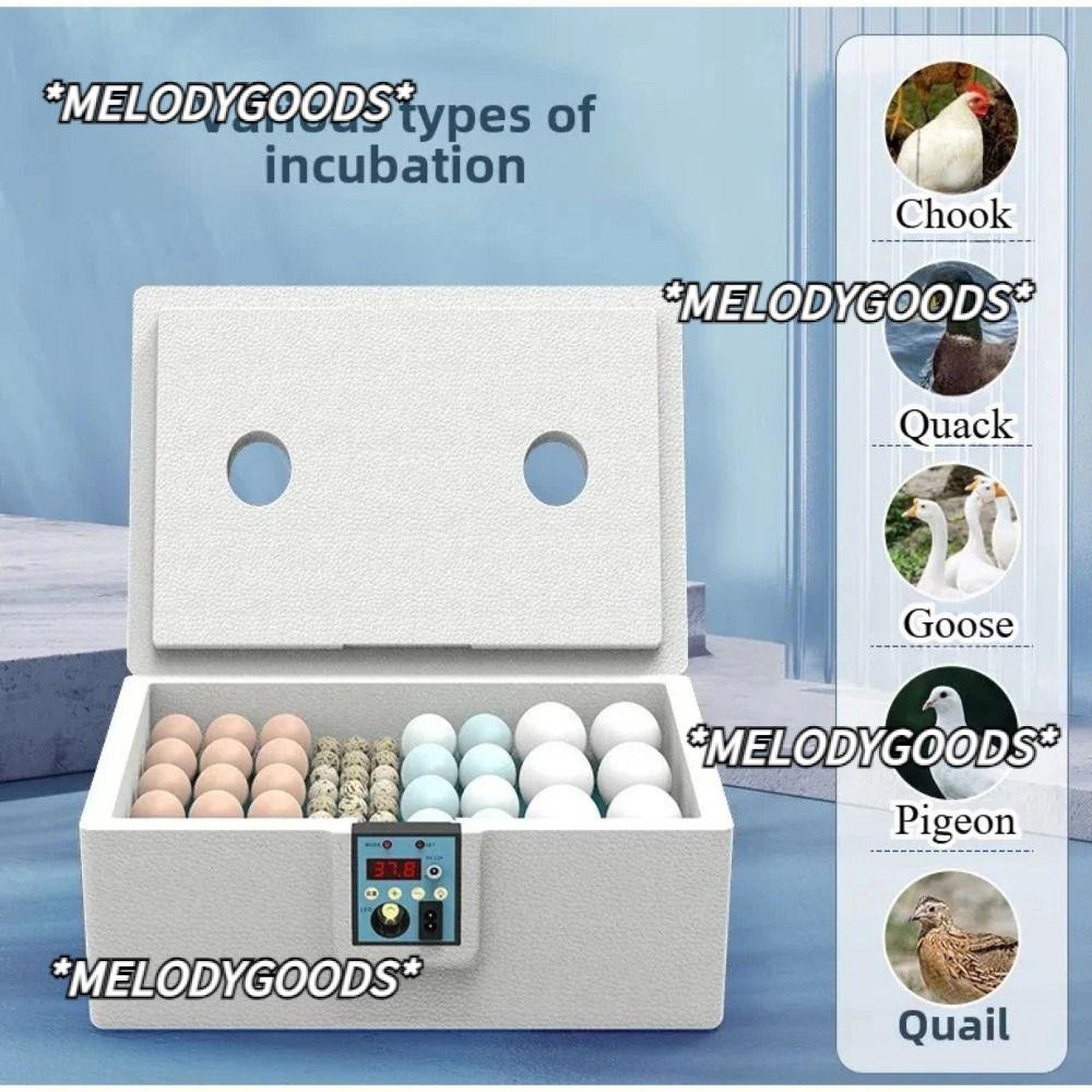 MELODG Hatchery|24-hour Thermostatic Intelligent Small Poultry Egg ...