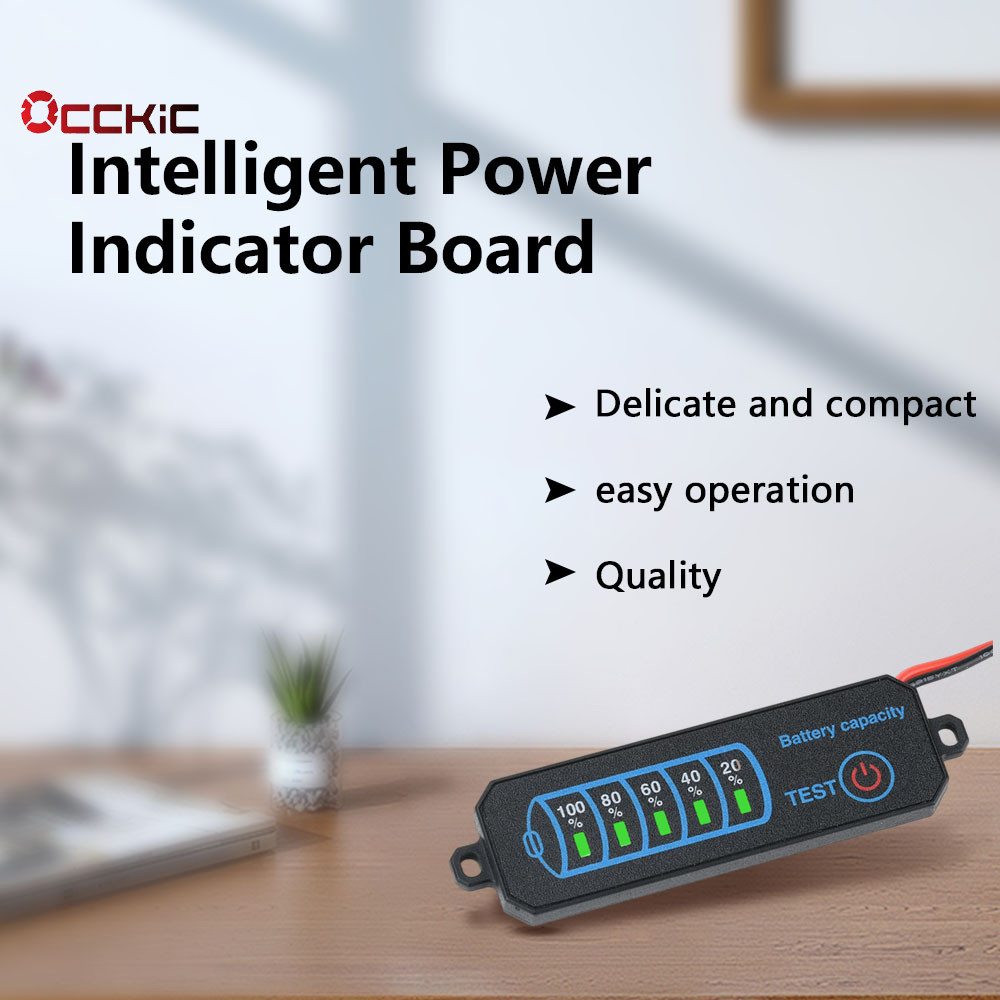 OCCKiC DC 5-30V LED Display Power Indicator Lithium/Iron/Lithium/Acid ...