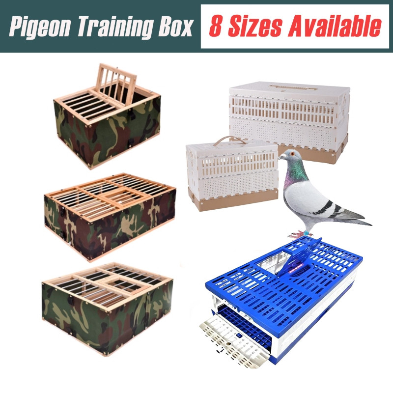 PIGEON TRAINING BOX FOR SALE visual data 7