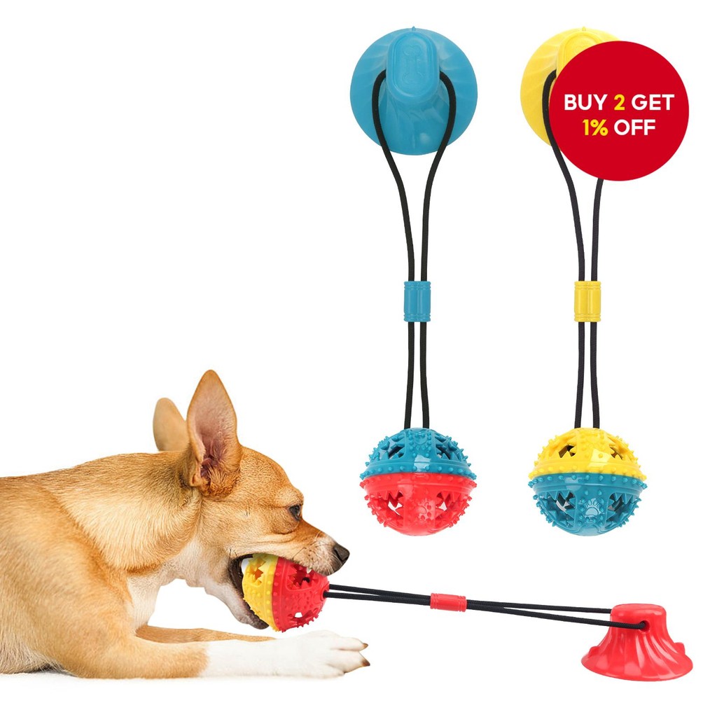 Best Dog Puzzles For Aggressive Chewers with Eugene Rowe blog