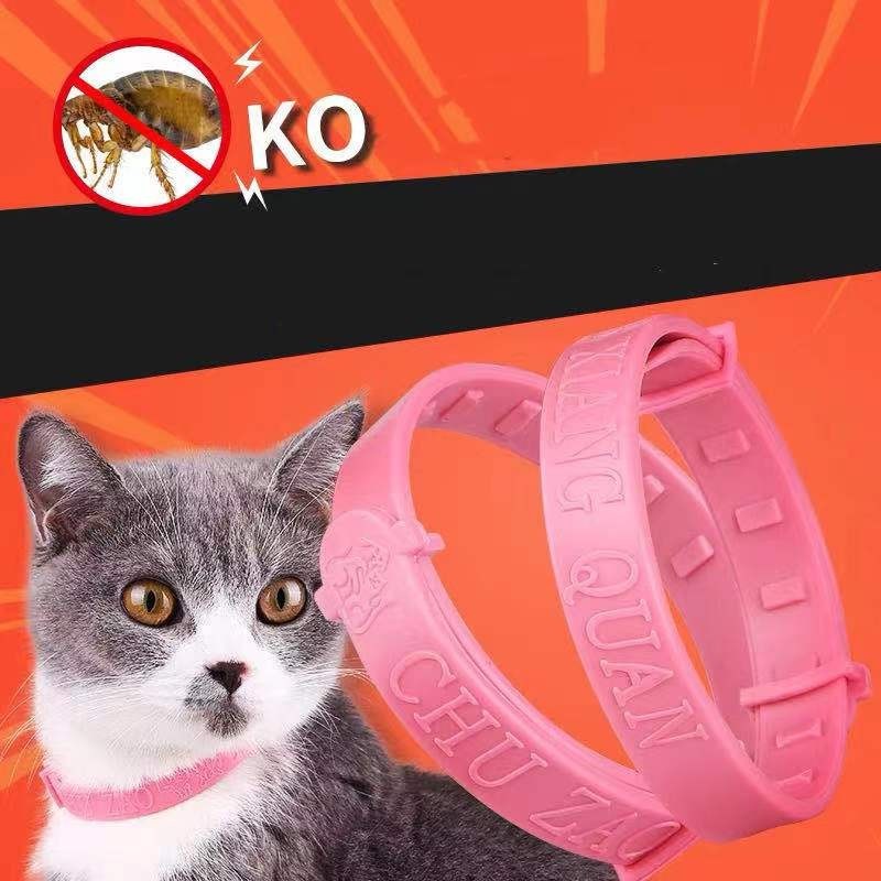 A closer look at Kitten Flea Collars With Long-Lasting Protection