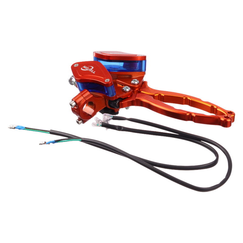 Electric Motorbike Front Brakes Reference: Electric Motorcycle Front And Rear Disc Brake Pump For Turtle