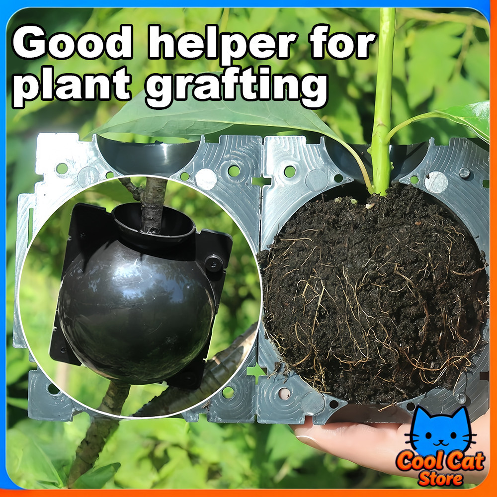 Plant Grafted Box Device Plant Rooting Ball Plant Rooting Device High ...
