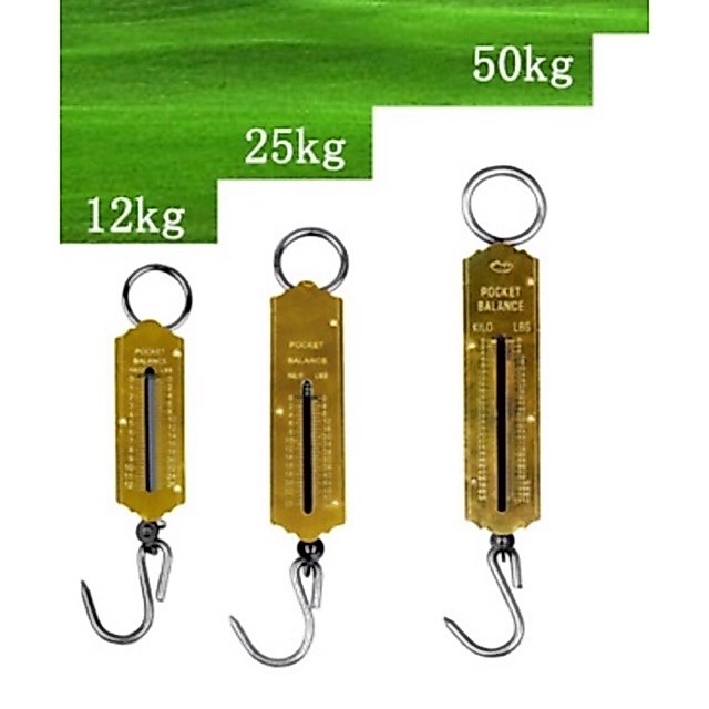 Portable spring scale | Shopee Philippines
