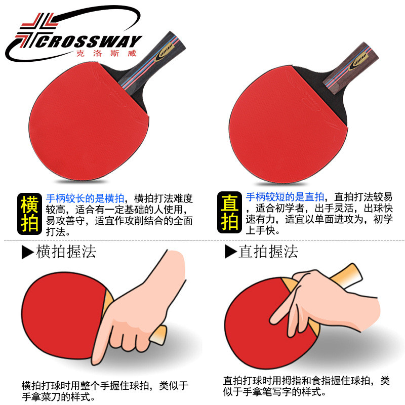 First.Rack Table Tennis Racket Racket Double Beginner Ball Straight ...
