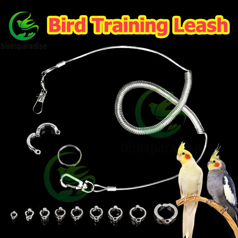 Bird leash Birds Flying Rope with ring Parrot pigeon Bird training rope ...