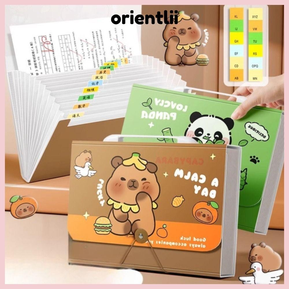 ORIENTLEE A4 File Folder, Capybara Handheld Test Paper Storage Folder ...