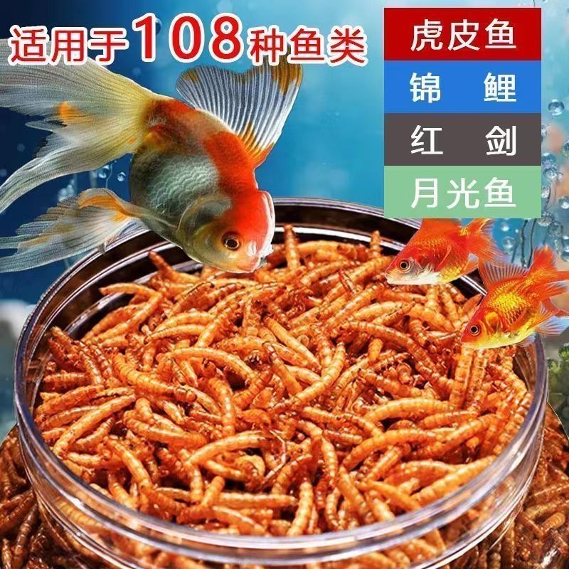 Butterfly Koi Fish Feed High Protein Mealworm Fish Food Red Dragon ...