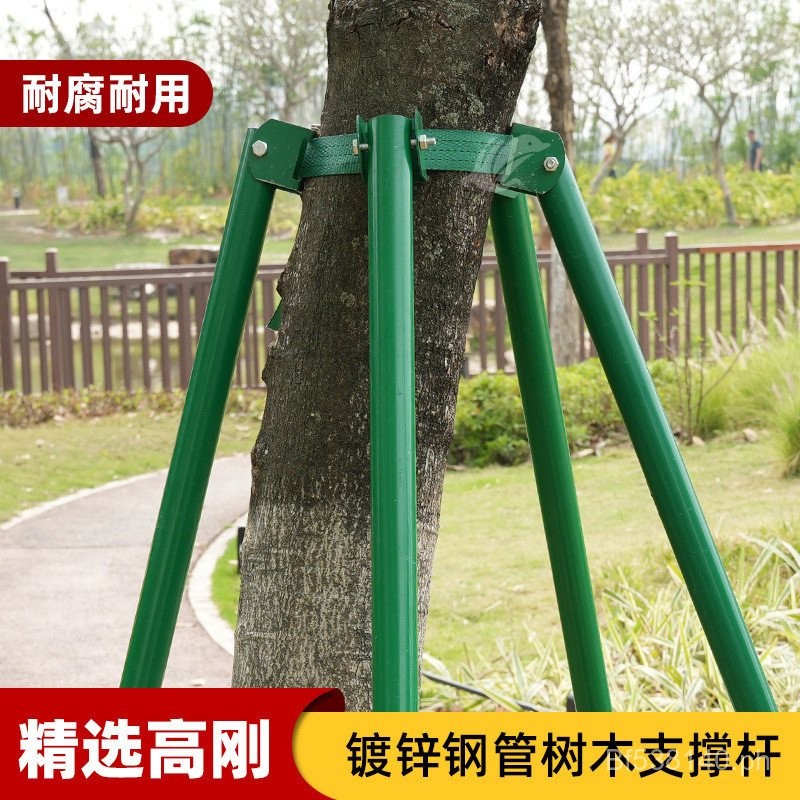 Fixing Support Rod Tree Greening Large Tree Garden Galvanized Steel ...