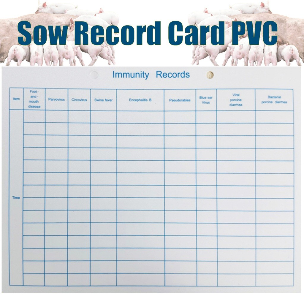 10Pcs Sow Record Card PVC for Pig Farm Record for sow pregnancy records ...