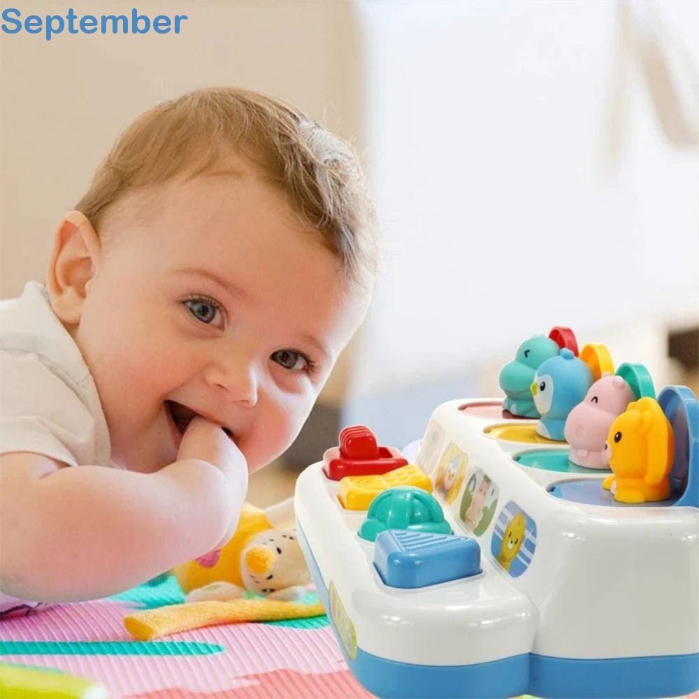 SEPTEMBERHL Baby Pop Up Montesorri Toys, Plastic Animals Theme Peekaboo ...
