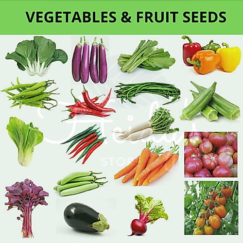 rice seed - Best Prices and Online Promos - Oct 2026 | Shopee Philippines