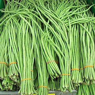 Shop string beans for Sale on Shopee Philippines
