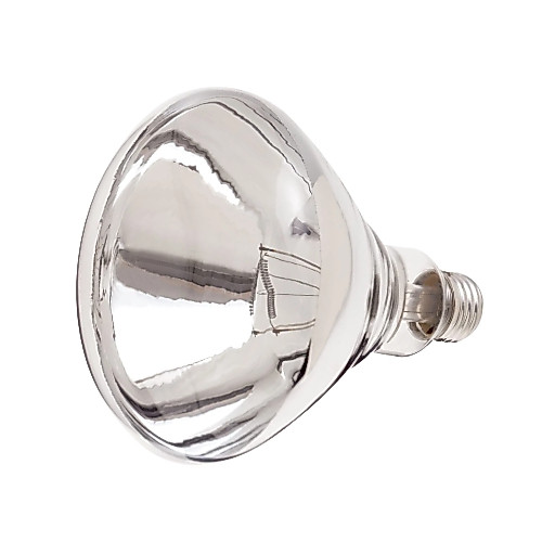 R40 300w 12v E27 Swimming Pool Bulb | Shopee Philippines
