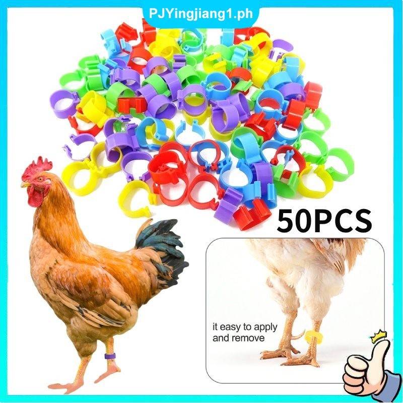 50Pcs Chicken Leg Band No Number Plastic Poultry Foot Rings Leg Band ...