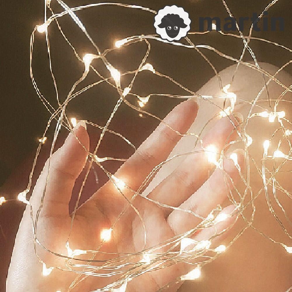 MARTIN Copper Wire Light String, PVC Waterproof Fairy Light, Holiday ...