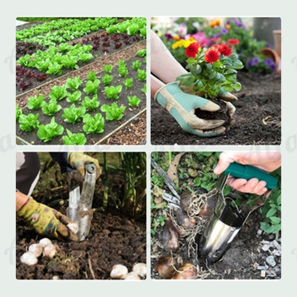 Vegetable Seedling Tube Planting Transplanter Garden Handheld Seedling ...