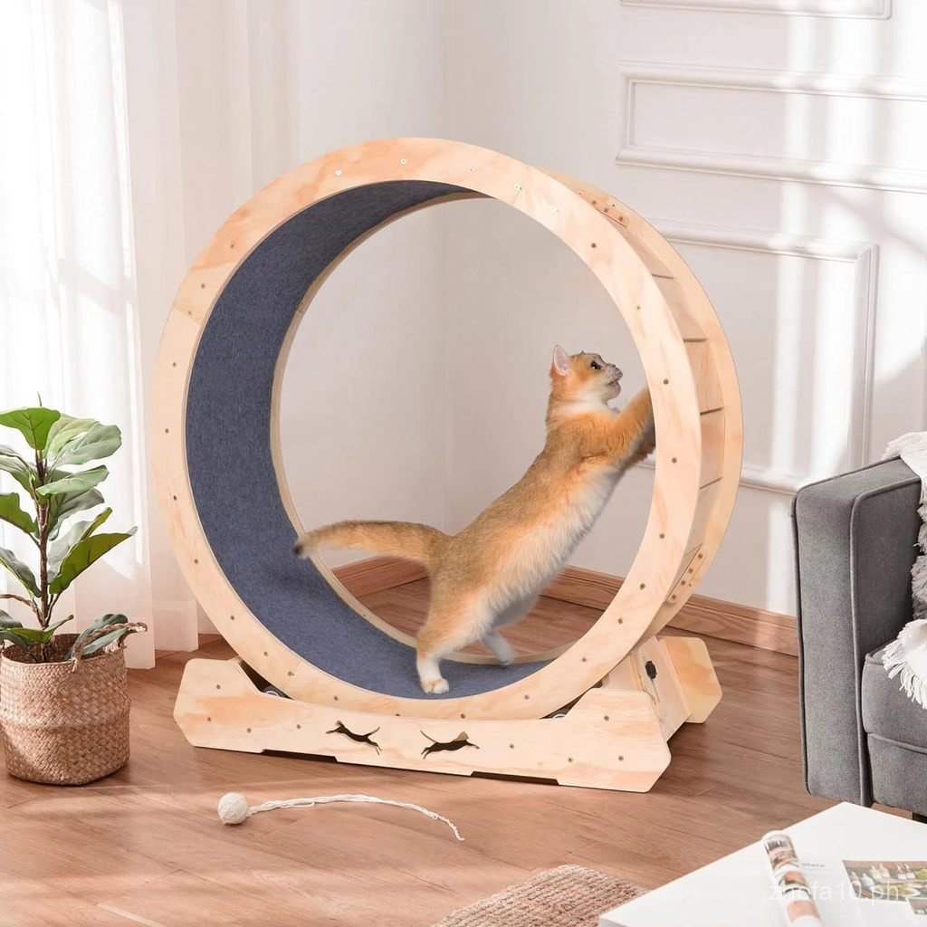 In Stock Pet Dog Cat Treadmill Loop Velvet Mat Fitness Roller Exercise ...
