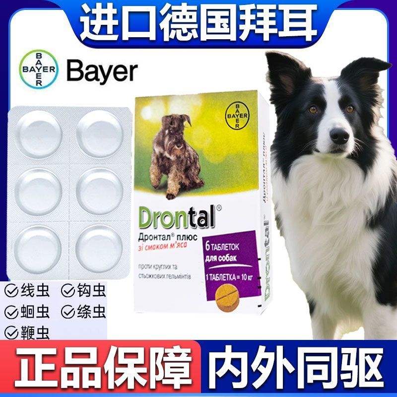2025 New Product German Dog Bayer Dog Body Internal External Insect ...