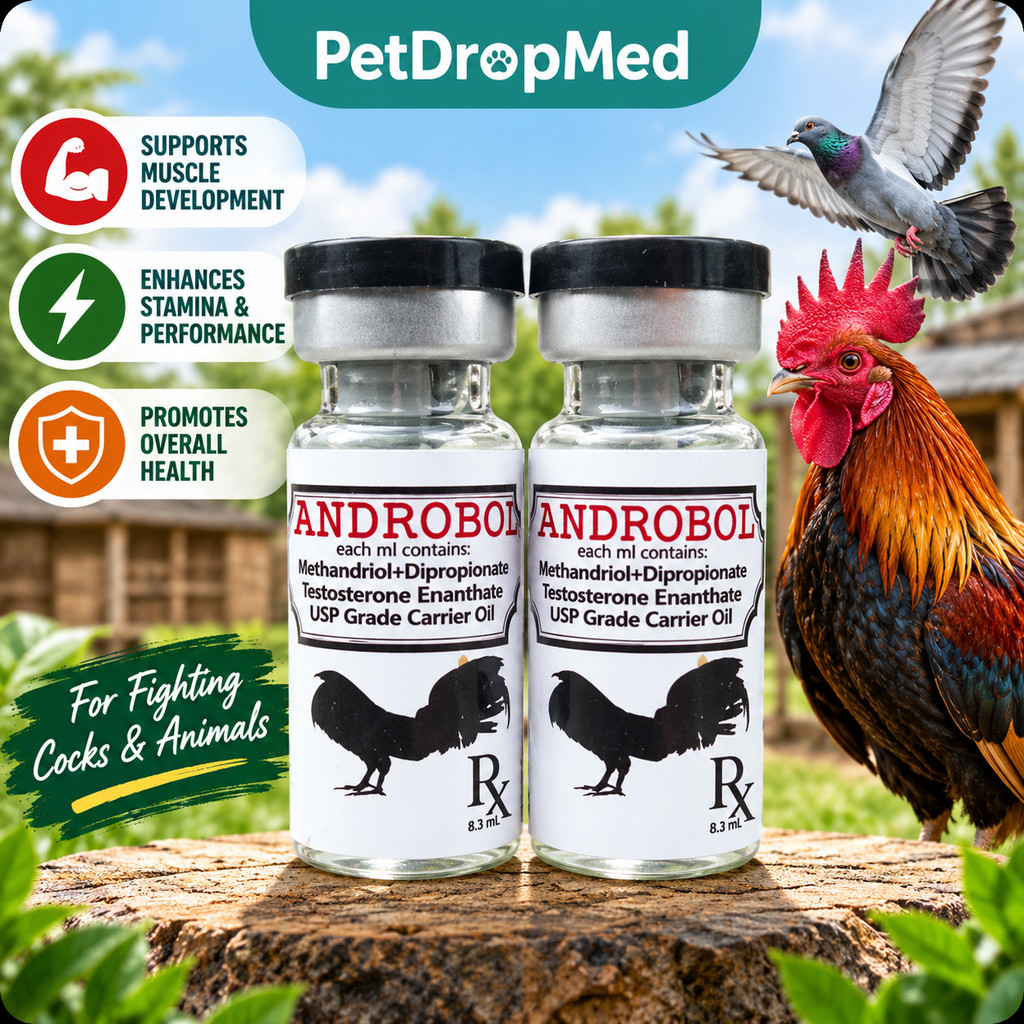 Buy 1 Take 1 Anabol Androbol Super Testo For Gamefowl 35ml | Shopee ...