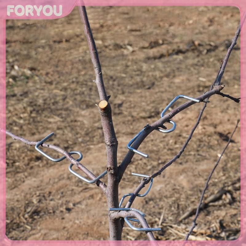 FORYOU Fruit Tree Branch Shape Fixator Garden Yard Trees Support Holder ...