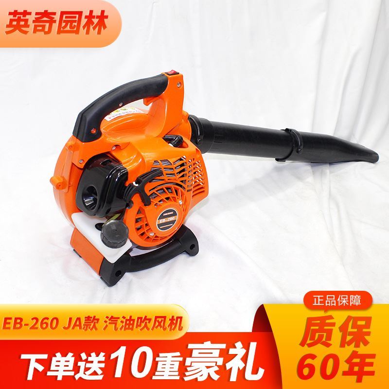 Portable Lightweight 260 Two-Chong Pavement Hair Dryer Wind Power ...