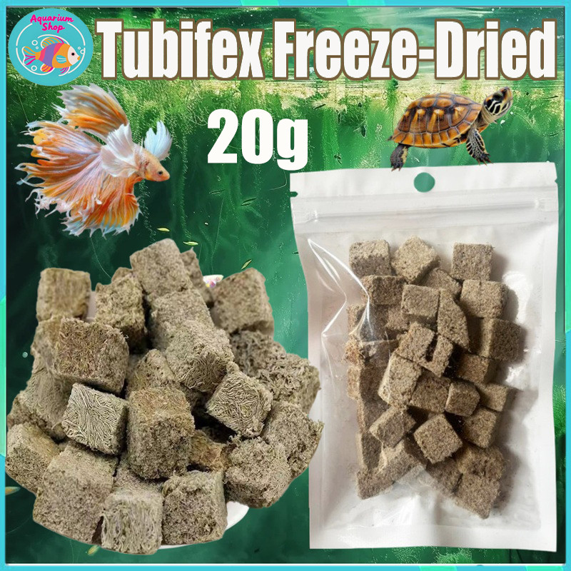20g Premium Dried Freeze Tubifex worm cubes for Guppy Betta Fish Gold ...