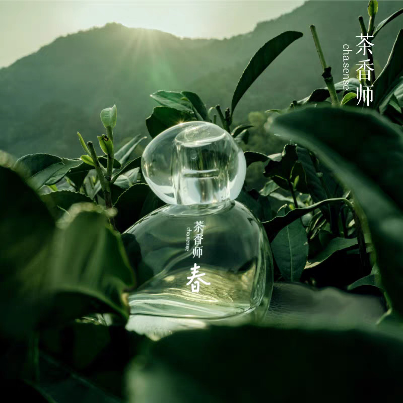 [Official Authentic] Chasense Early Spring Tea/Just Like First Mind ...