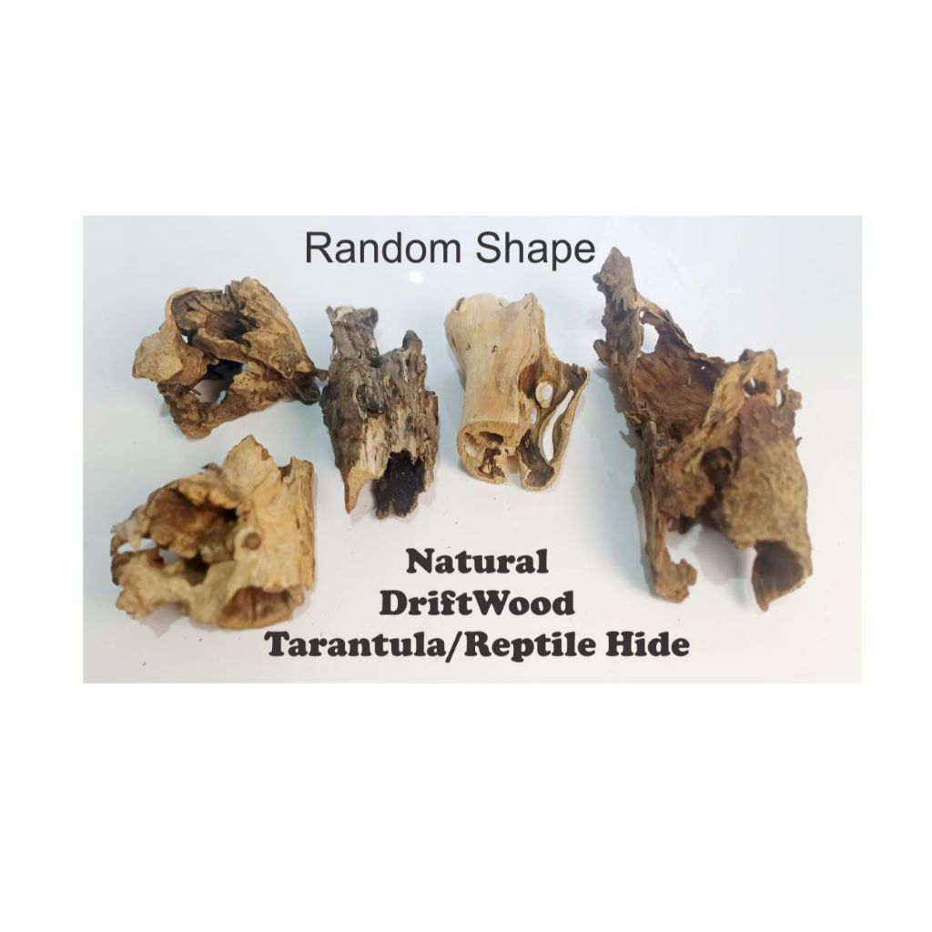 Driftwood Hide Jungle Hide Natural Random Shapes Tarantula Reptile Fish ...