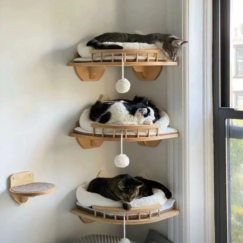 Premium Quality Wall-mounted Cat Viewing Platform Wooden Cat Climbing ...